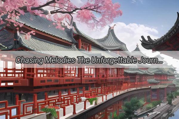 Chasing Melodies The Unforgettable Journey of The Knife on Chinas Got Talent